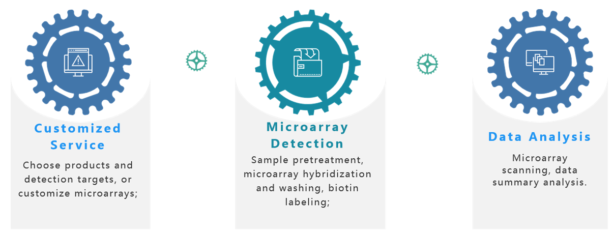 Chemokine microarray service process.