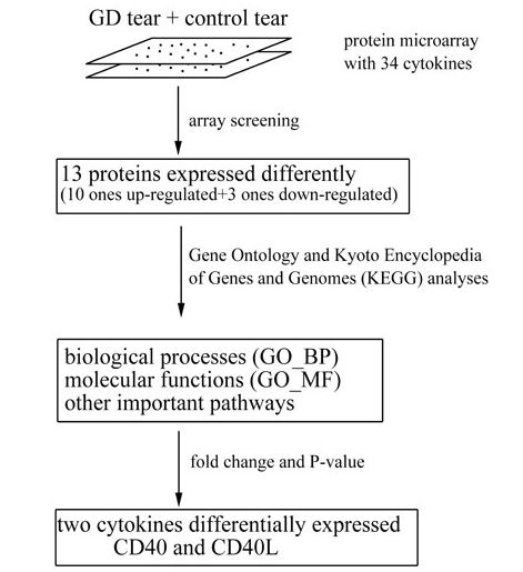 The strategy of using microarrays to detect cytokines.