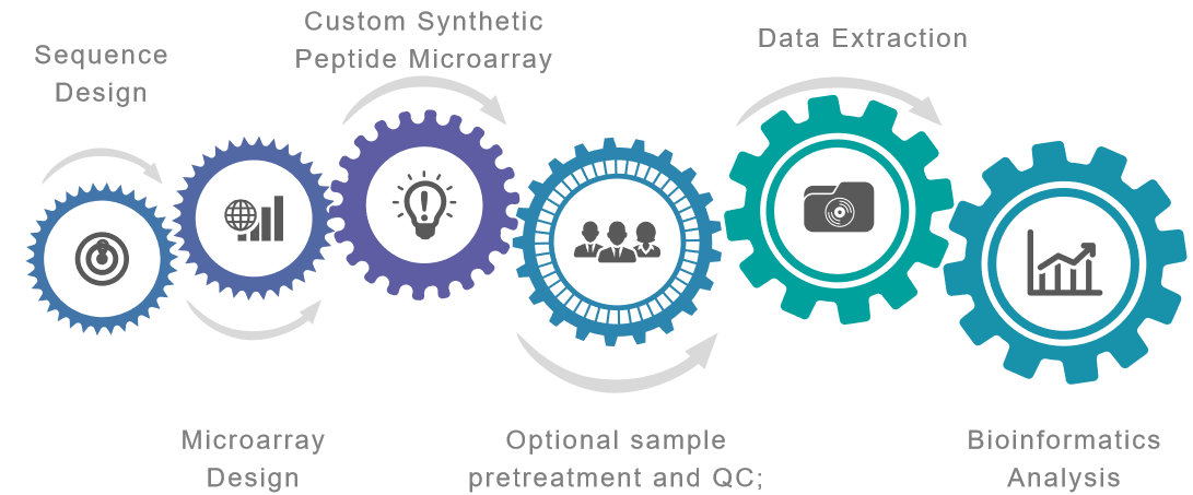 Epitope mapping microarray service process.