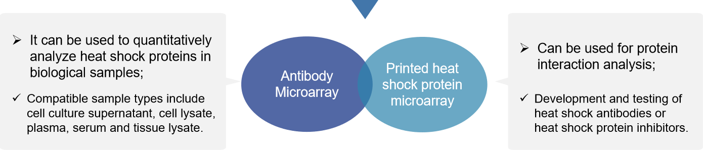 Heat shock protein printing microarray service process.