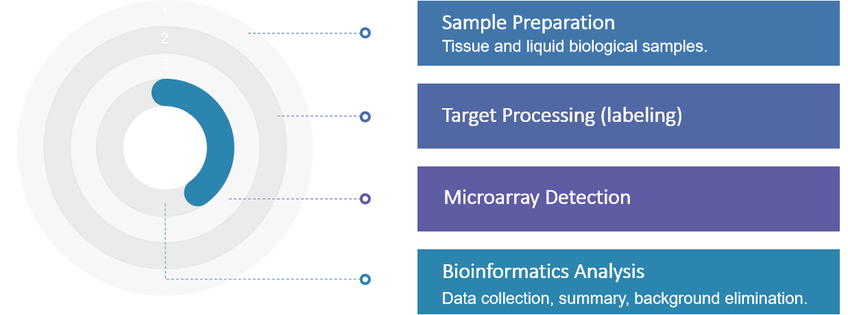 Inflammatory factor microarray analysis service process.