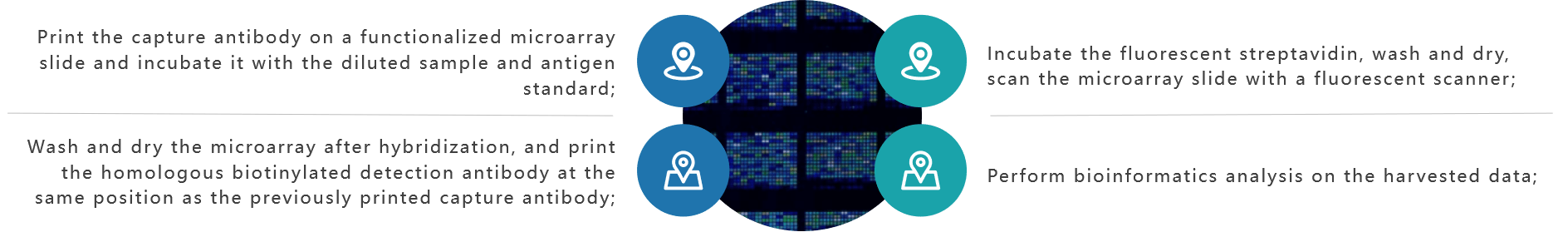 Service process of multiple immunoassays based on microarray. 