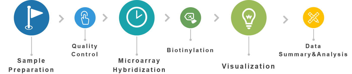 Phosphorylated protein microarray service process.