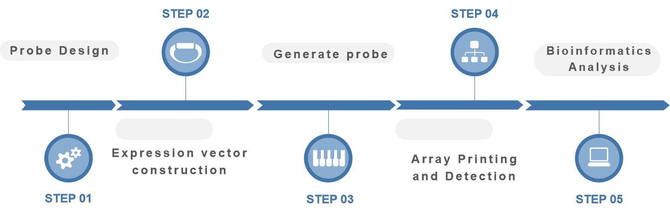 Schematic diagram of the service process.