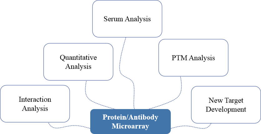 Some of our protein antibody microarray services. - Creative Proteomics