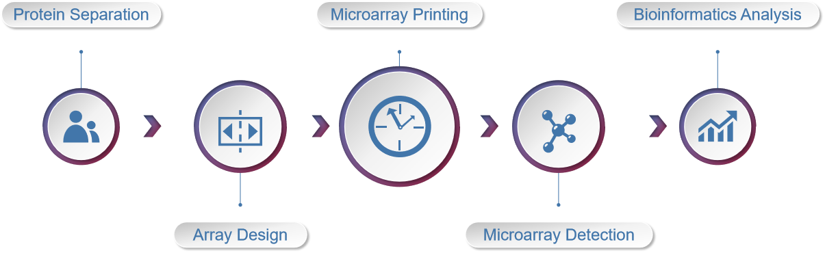 RPPA Reverse Phase Protein Microarray Service