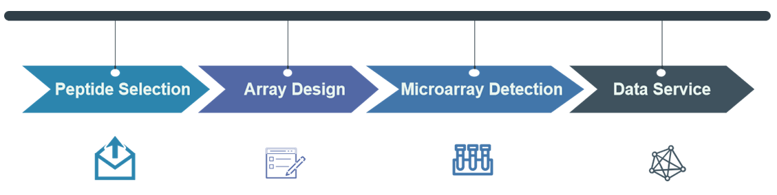 Kinase analysis service process.